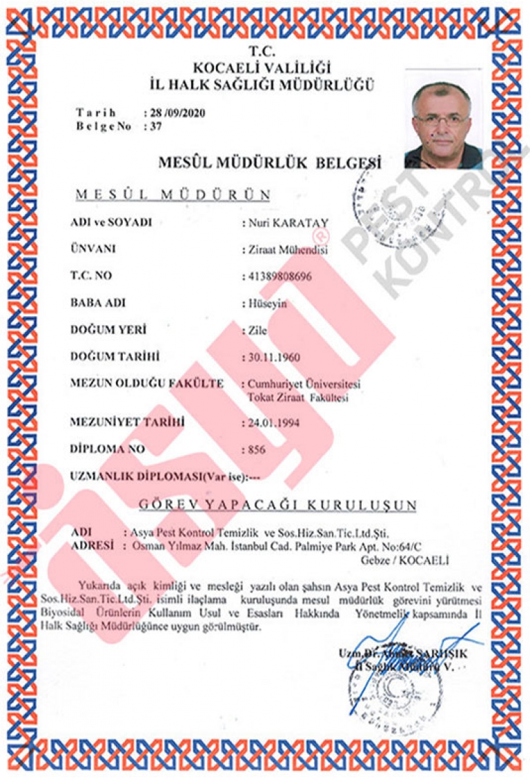 Mesul Müdürlük Belgesi